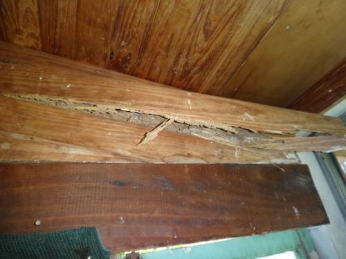 Image #1 from Salim B.