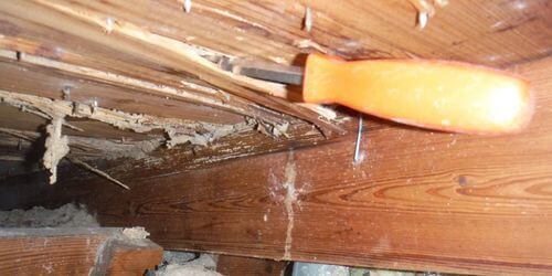 Image #1 from Christian A.