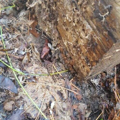 Image #1 from Anna U.