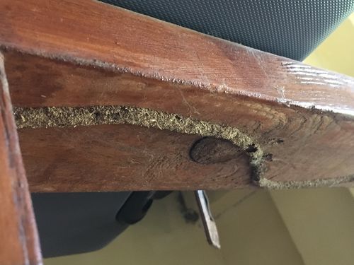 Image #1 from Henry D.