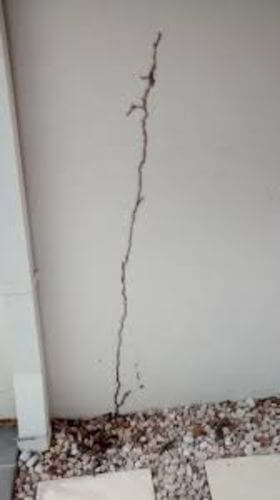 Image #1 from Bernard N.