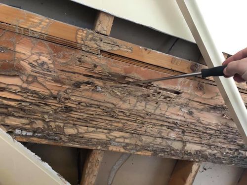 Image #1 from Alejandro B.