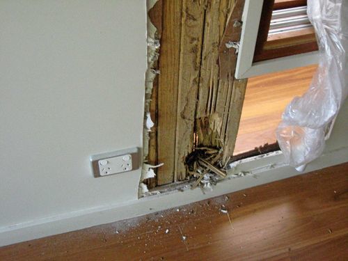 Image #1 from Maurizio L.